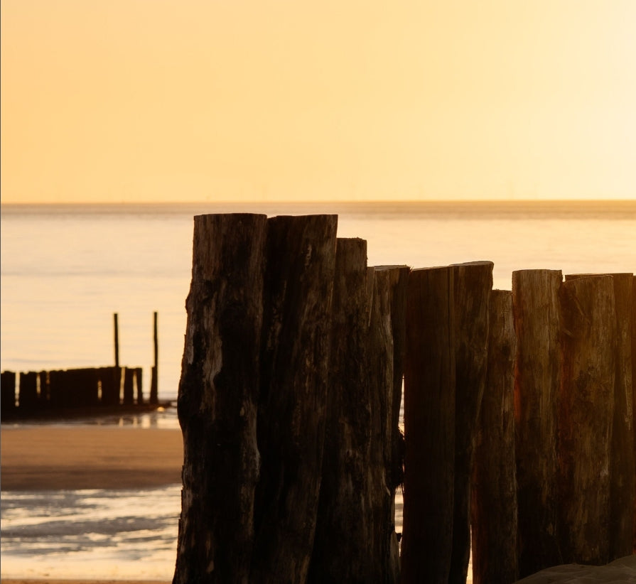 Paalhoofden strand Cadzand-Bad